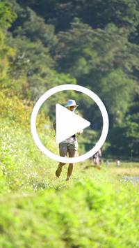 BIB:  <button type="button" onclick="openModal(26575586)" class="btn btn-primary btn-sm float-right" data-toggle="modal" data-target=".modal-high-quality">
                <i class="fa fa-download"></i> Download
                </button>